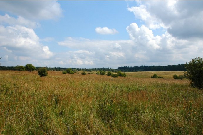 Libavá, náhorní plošina dosahuje nadmořské výšky 600 m n. m.