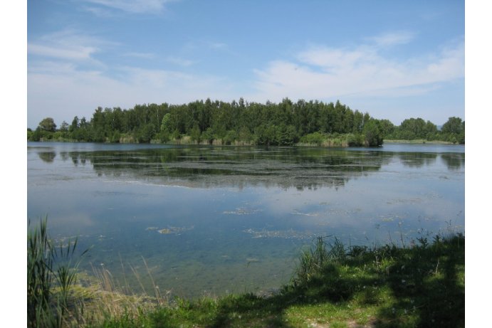 Litovelské Pomoraví, přírodní rezervace Chomoutovské jezero