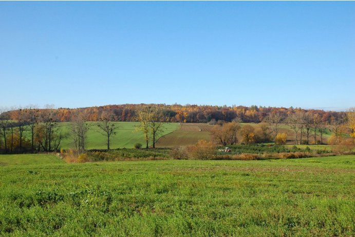 Dřevohostický les, celkový pohled na lokalitu