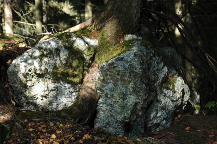 Chrastický hadec, hadec (serpentinit) je druh metamorfované horniny