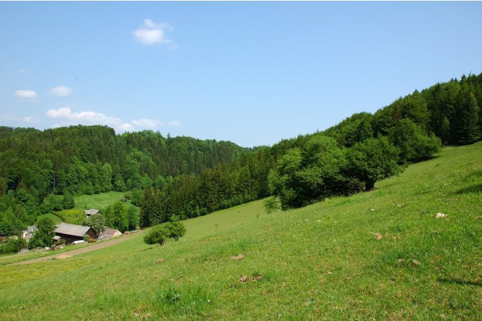 Poláchovy stráně, pohled na lokalitu