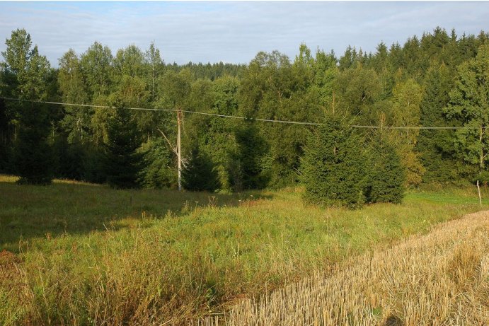 Stráň nad Huťským potokem, pohled na lokalitu