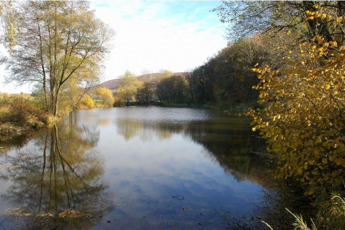 Týn nad Bečvou, pohled na lokalitu