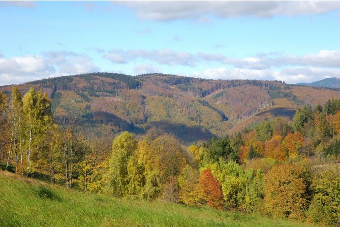 Hadce  a bučiny u Raškova, celkový pohled na lokalitu